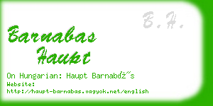 barnabas haupt business card